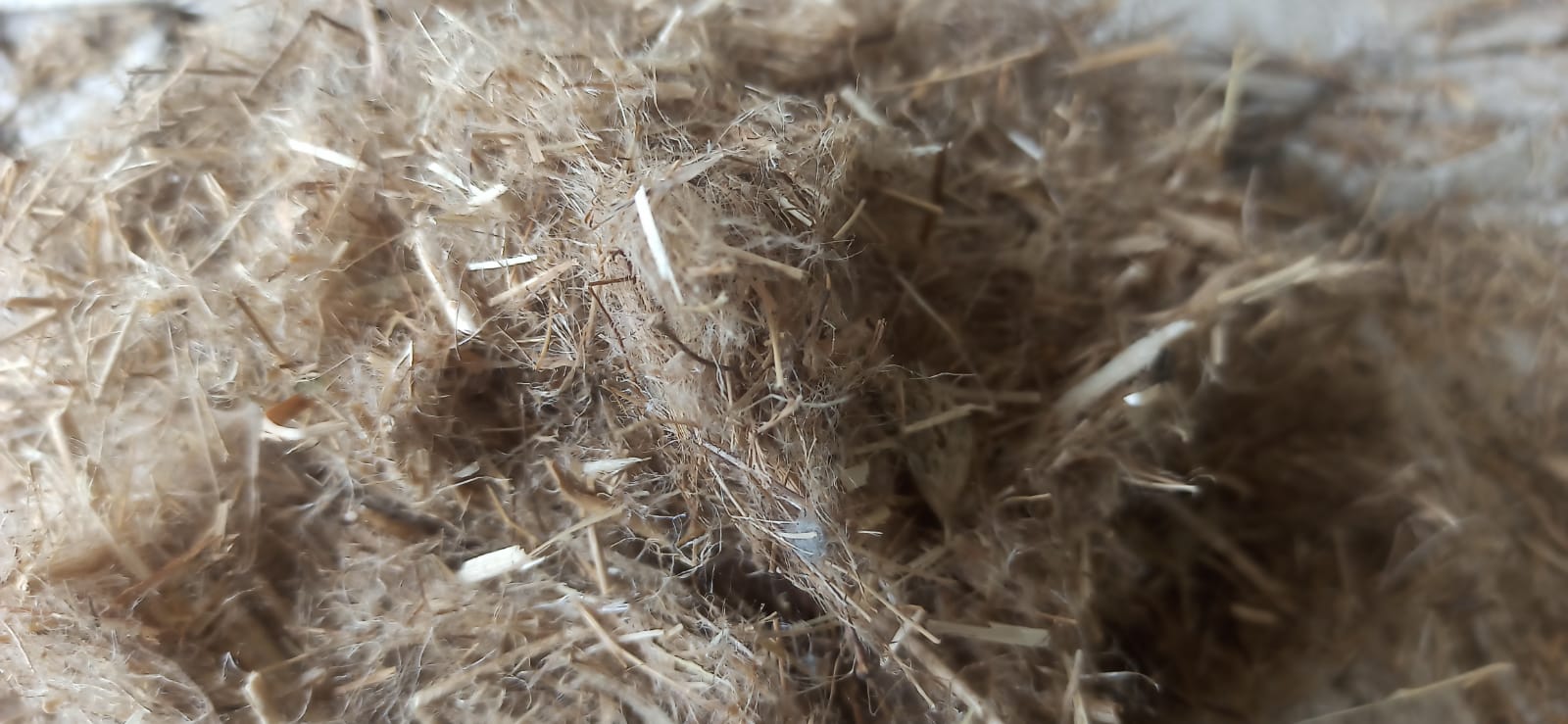 Flax Waste