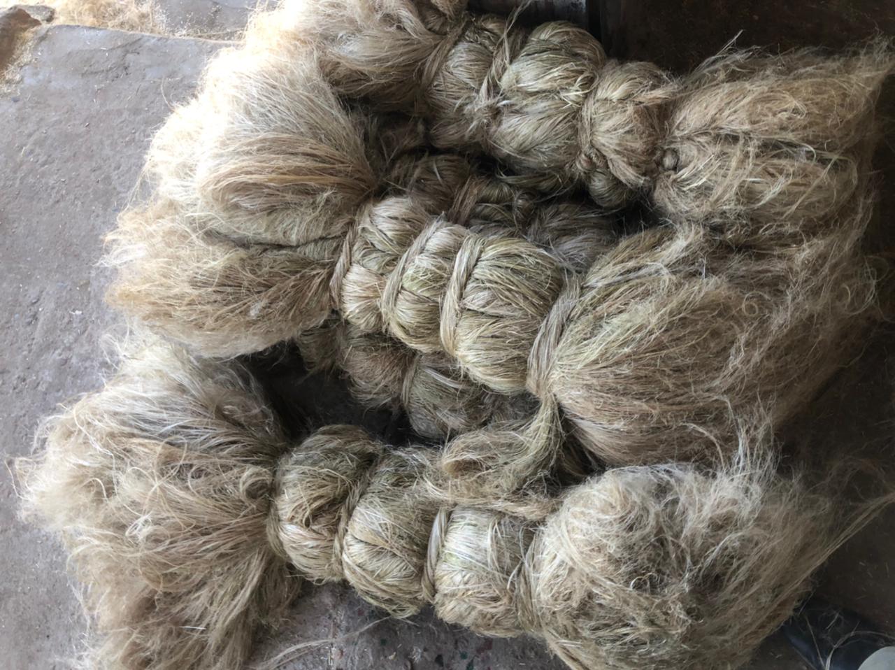 Scutched Flax