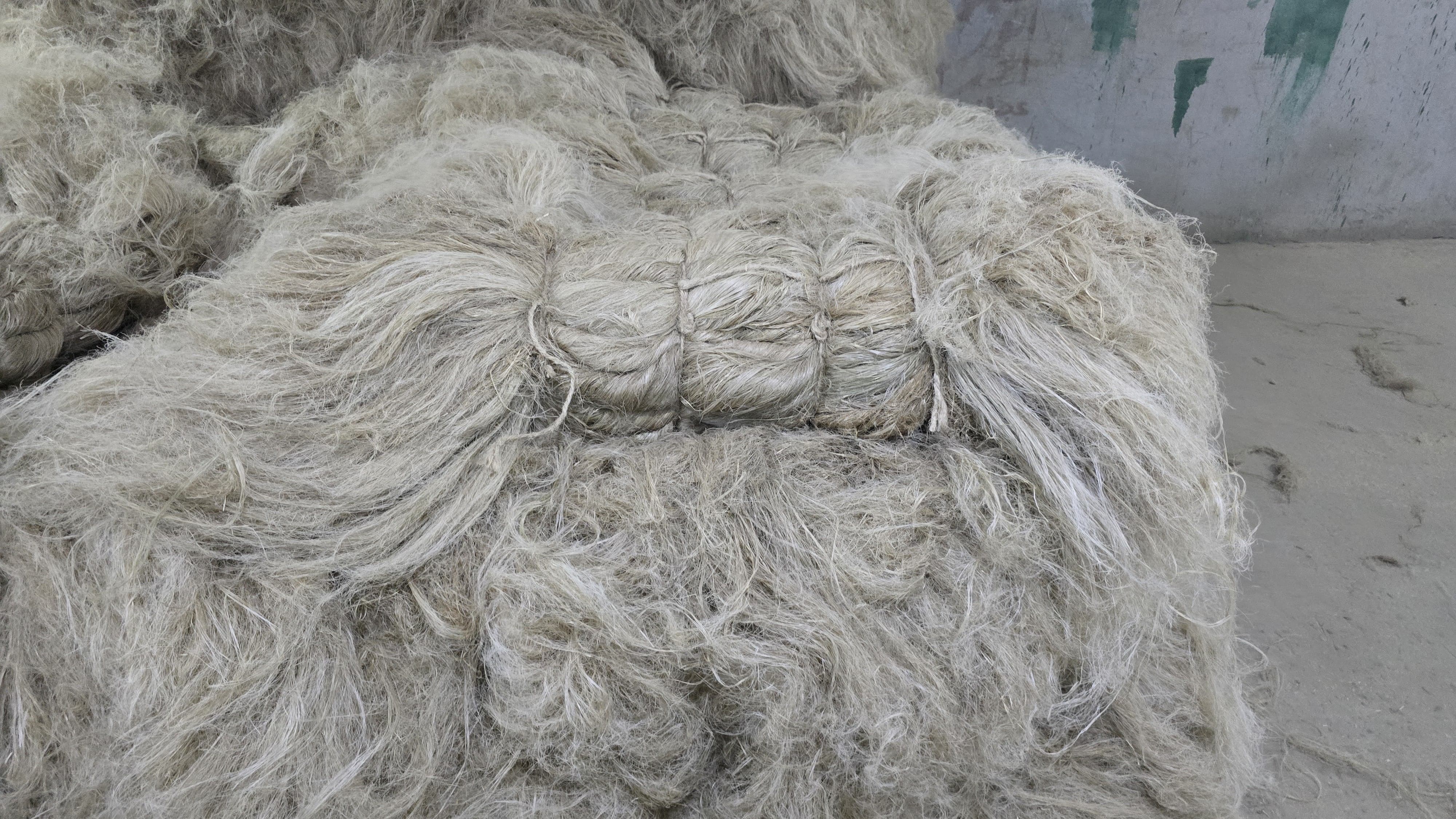 Scutched Flax