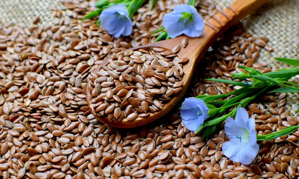 Flax Seeds